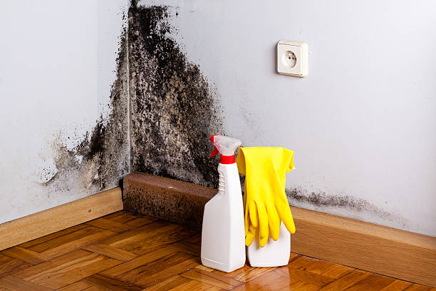 Mold Remediation for Rental Properties in Blackfoot, ID